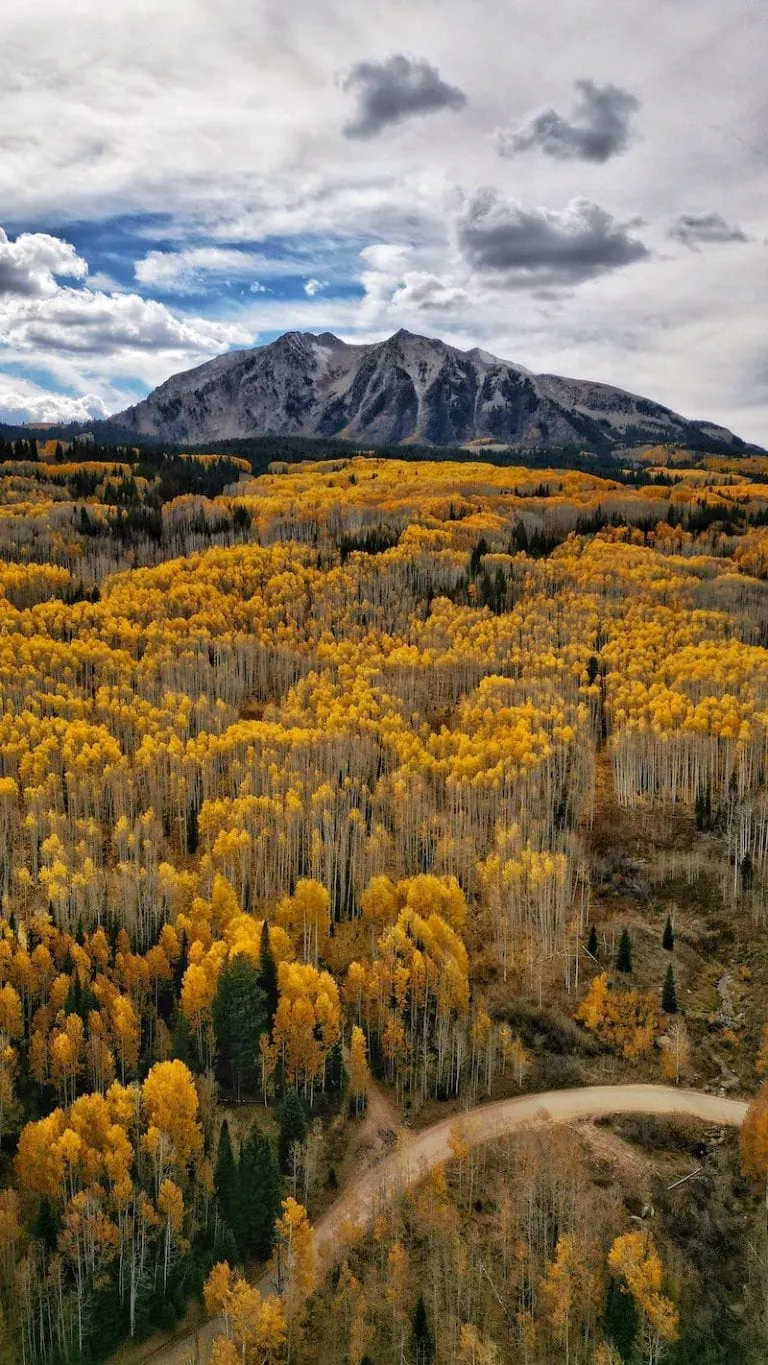 Kebler Pass 10/17, 2022