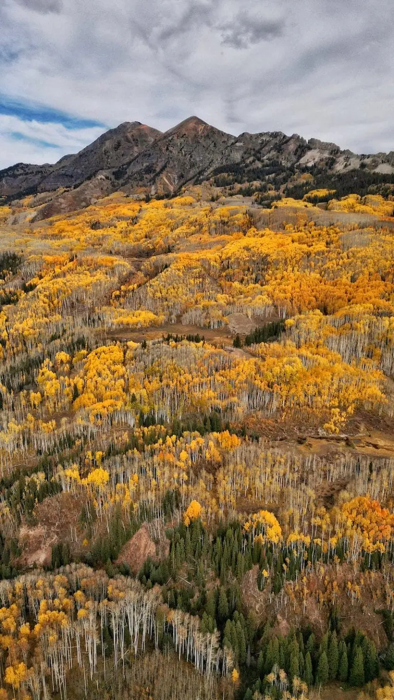 Kebler Pass 10/17, 2022