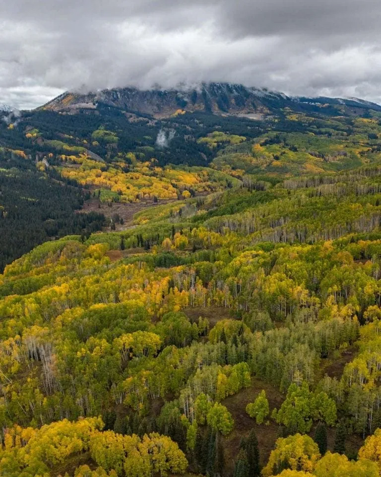 Kebler Pass 10/3, 2022