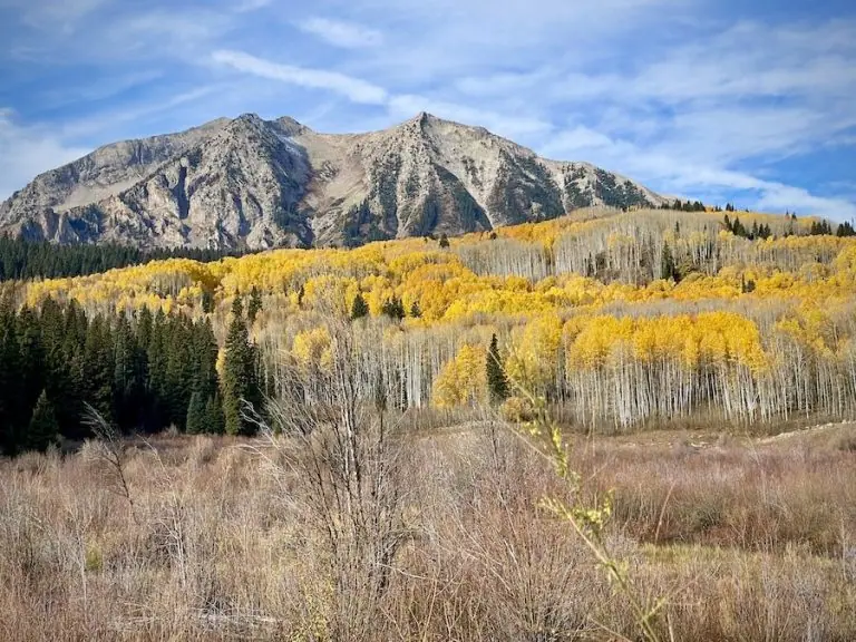 Kebler Pass 10/16, 2022