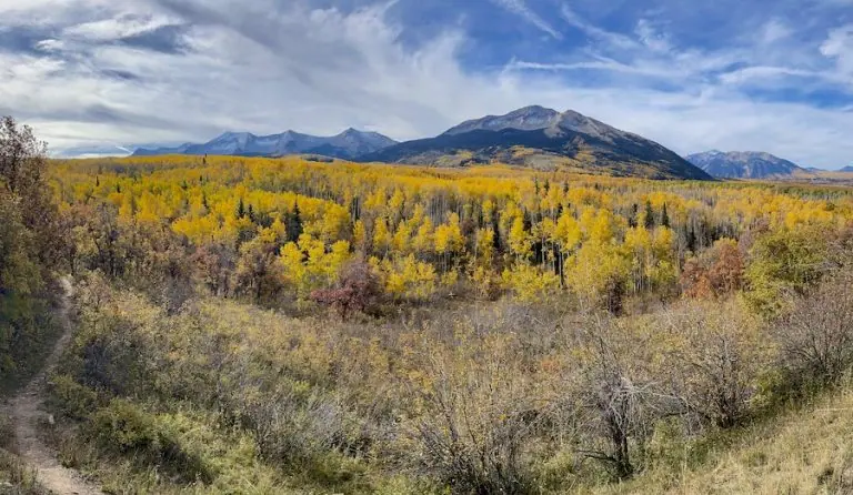Kebler Pass 10/16, 2022