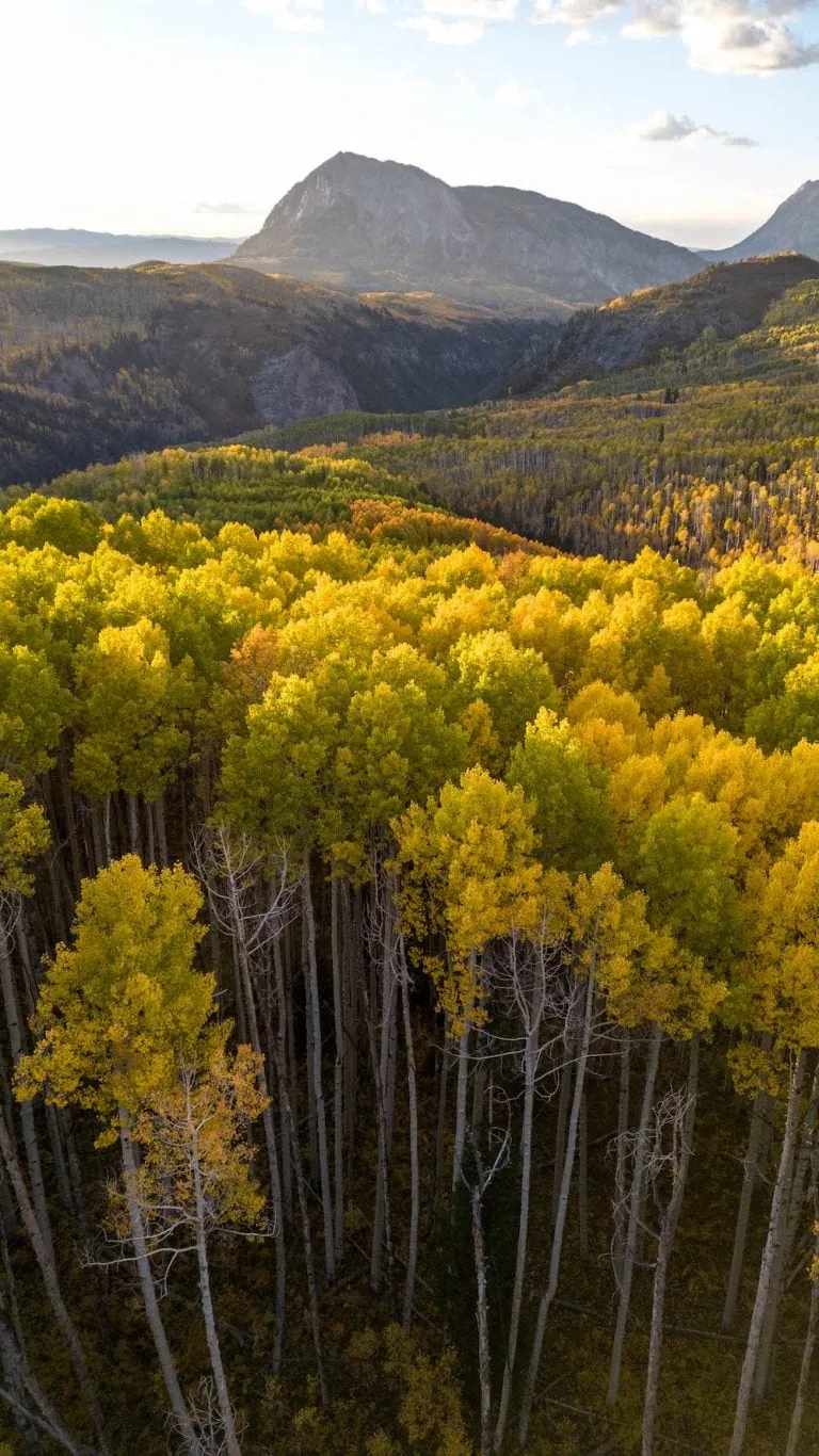 Kebler Pass 10/8, 2022