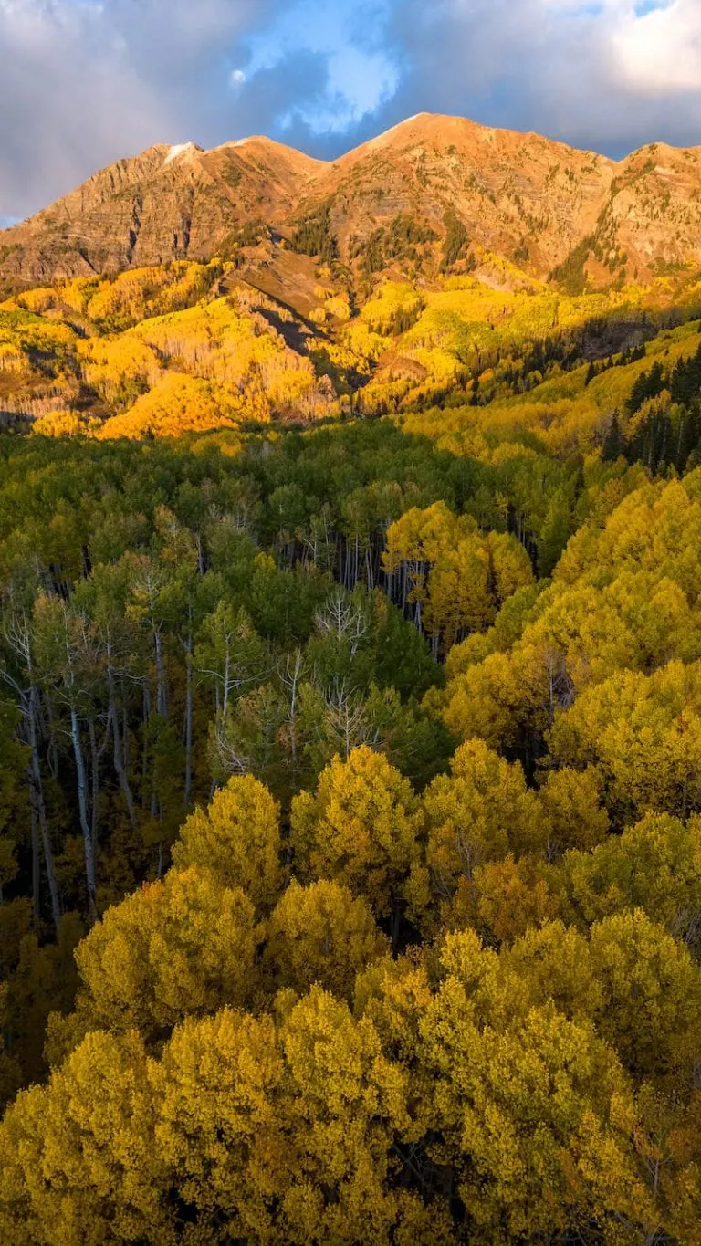 Kebler Pass 10/8, 2022