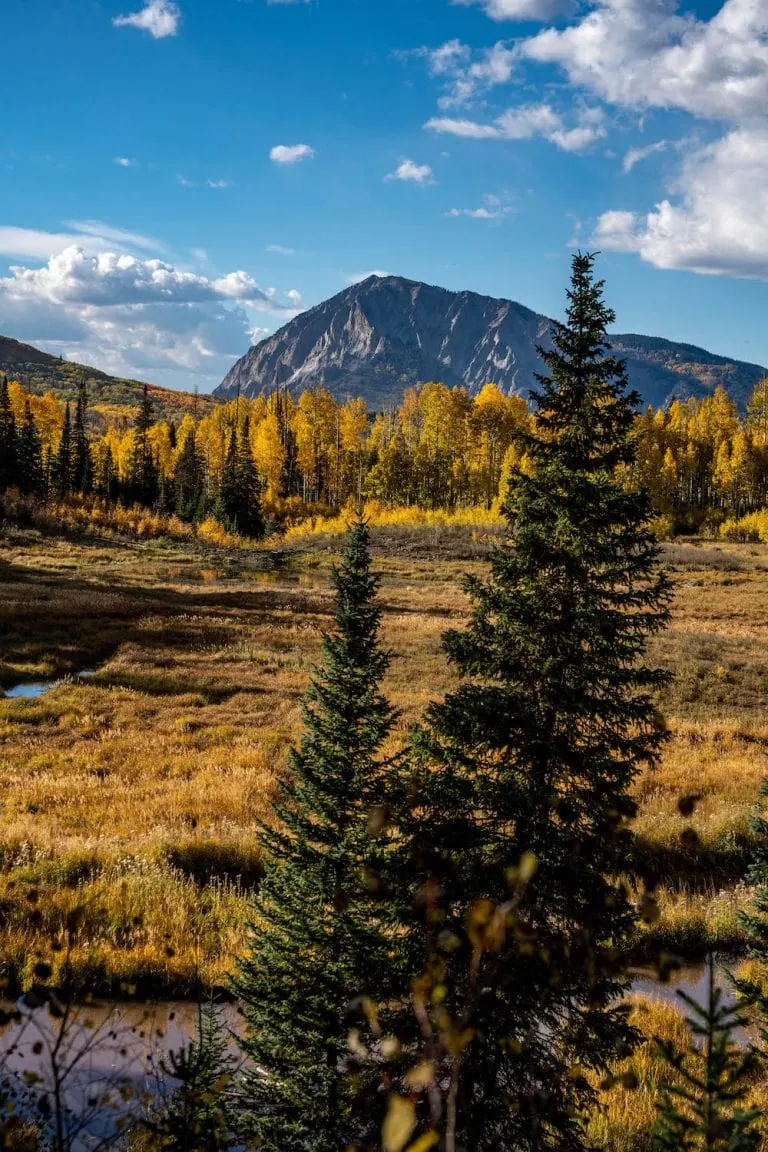 Kebler Pass 10/8, 2022