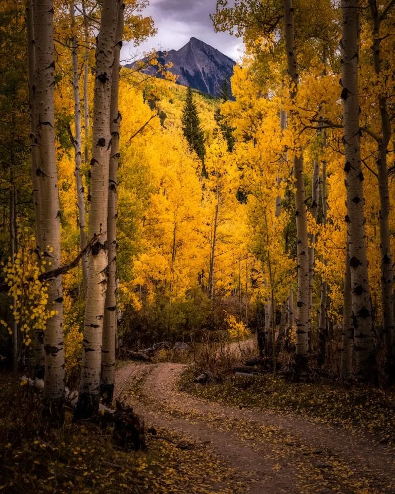 Washington Gulch 9/28, 2022