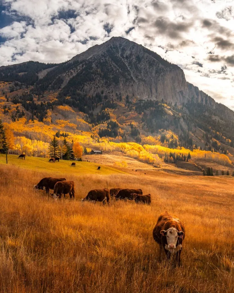 Mt Crested Butte 10/11, 2023