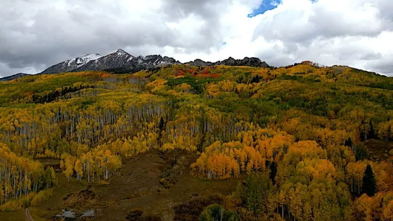 Kebler Pass 10/3, 2023
