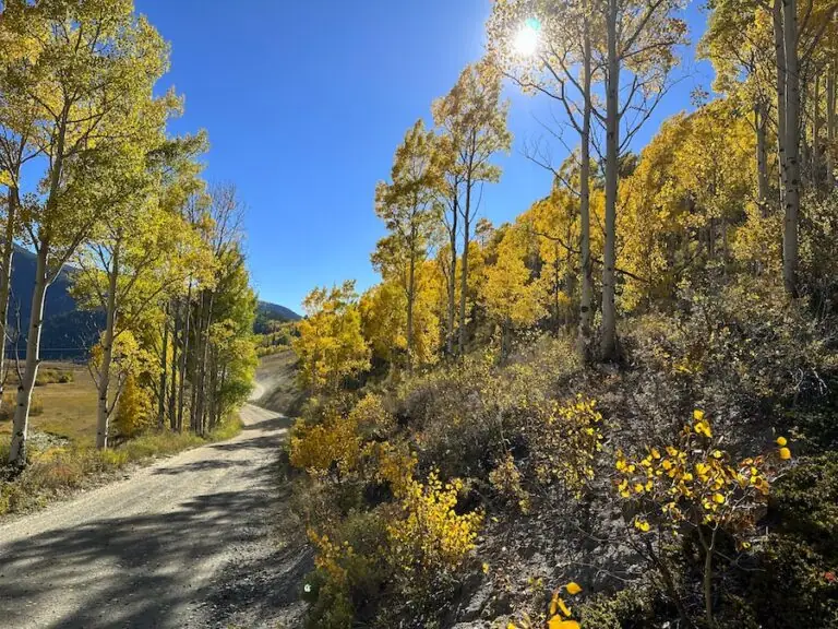 Cement Creek 9/28, 2023