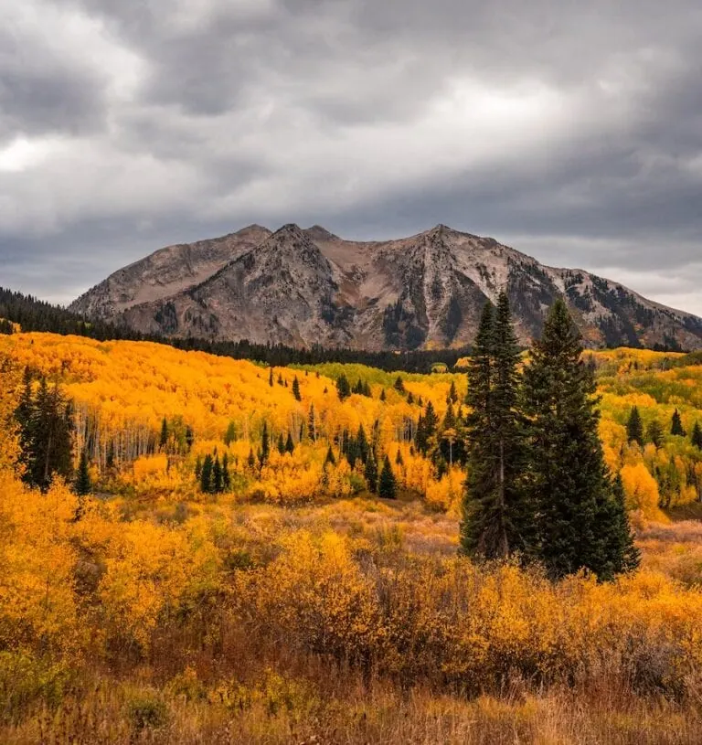 Kebler Pass 10/2, 2023