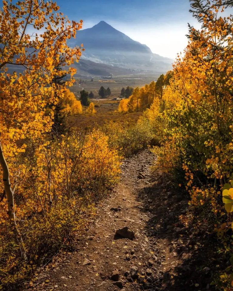 Buds Trail 9/25, 2023