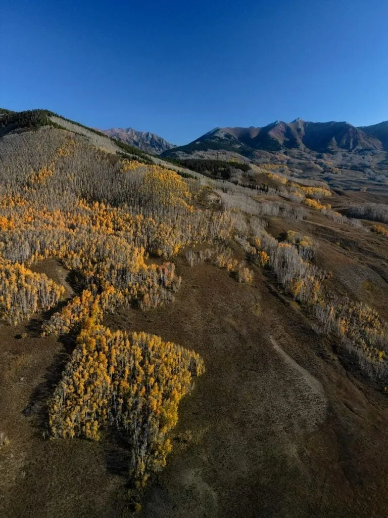 Washington Gulch 10/8, 2024