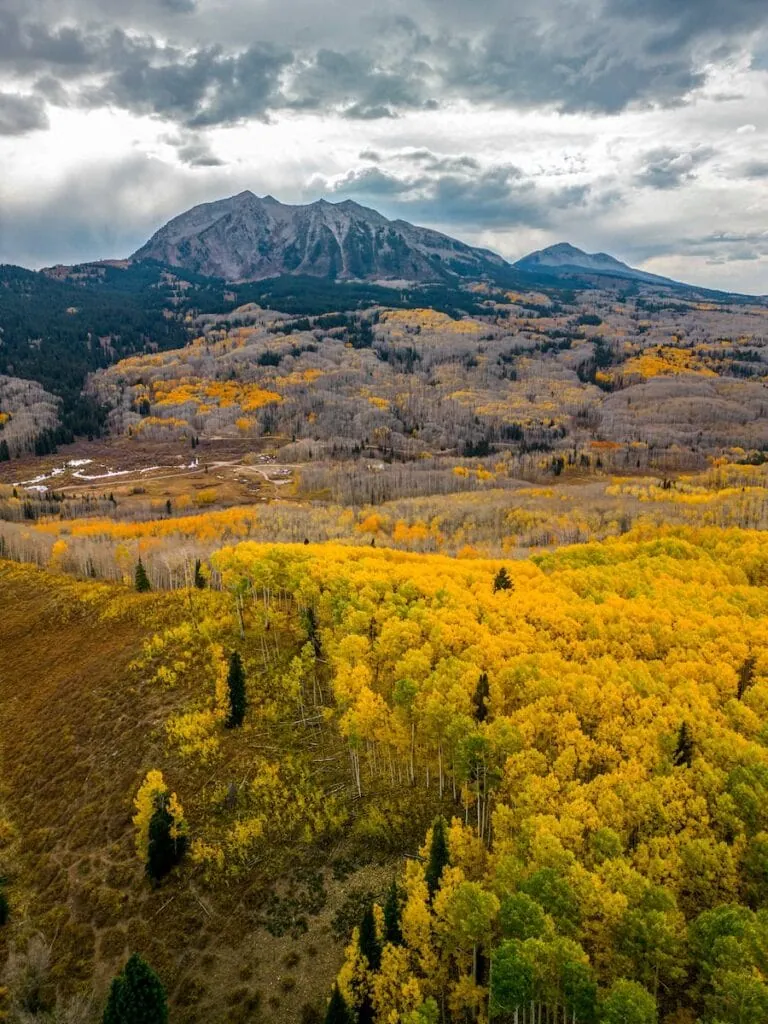 Kebler Pass 10/13, 2024