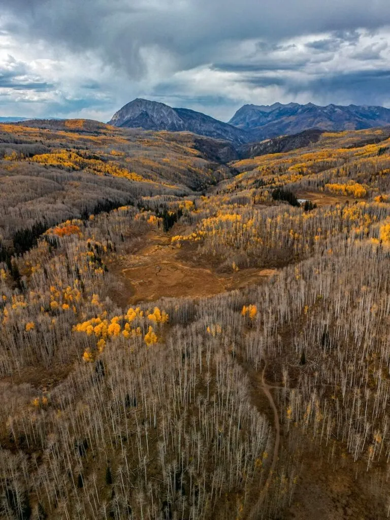 Kebler Pass 10/13, 2024