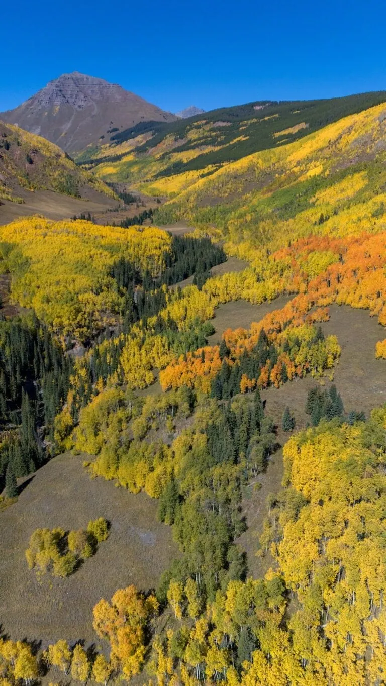 Brush Creek 9/25, 2024