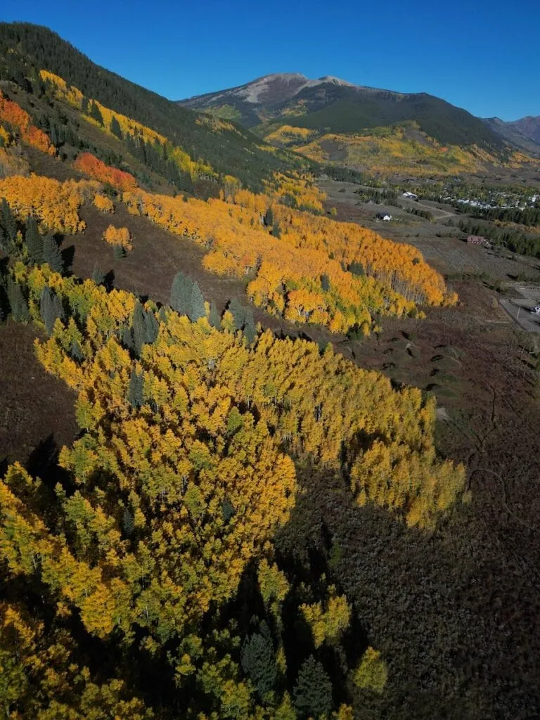 Baxter Gulch 9/25, 2024