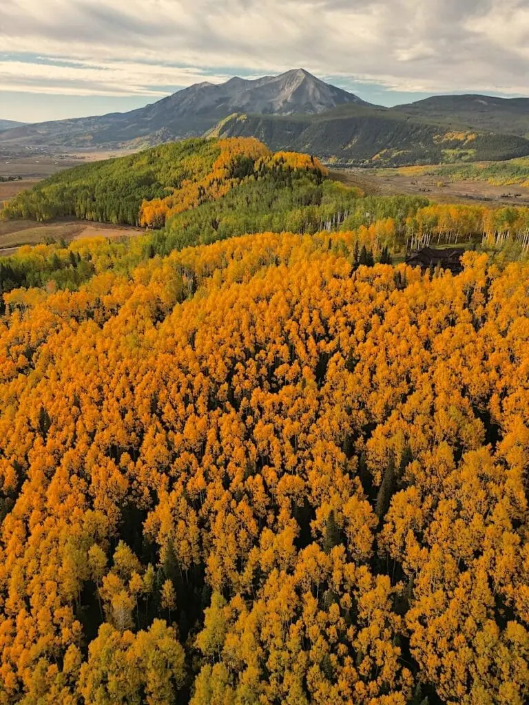 Washington Gulch 9/20, 2024