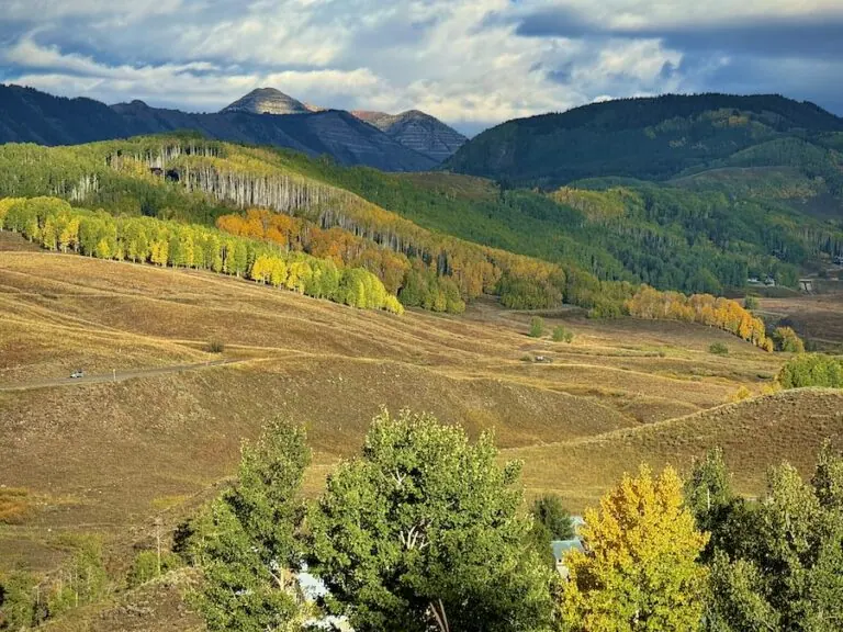 Washington Gulch 9/16, 2024