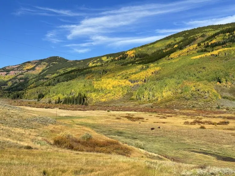 Cement Creek 9/19, 2024