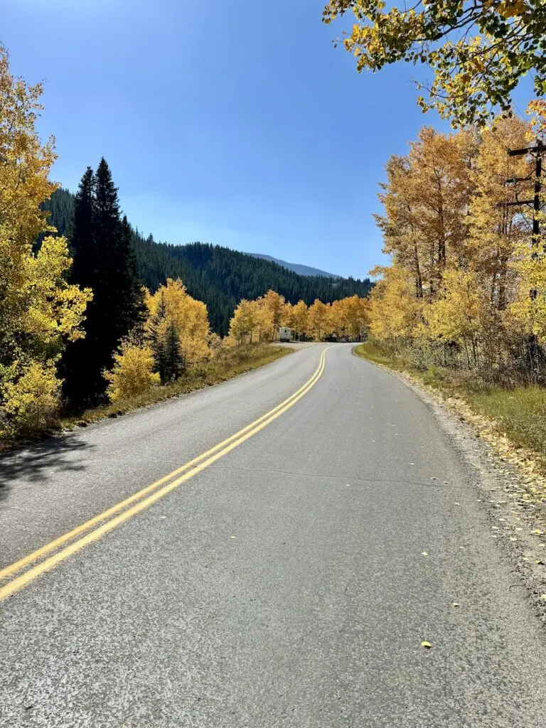 Kebler Pass Rd (near CB) 10/5, 2024