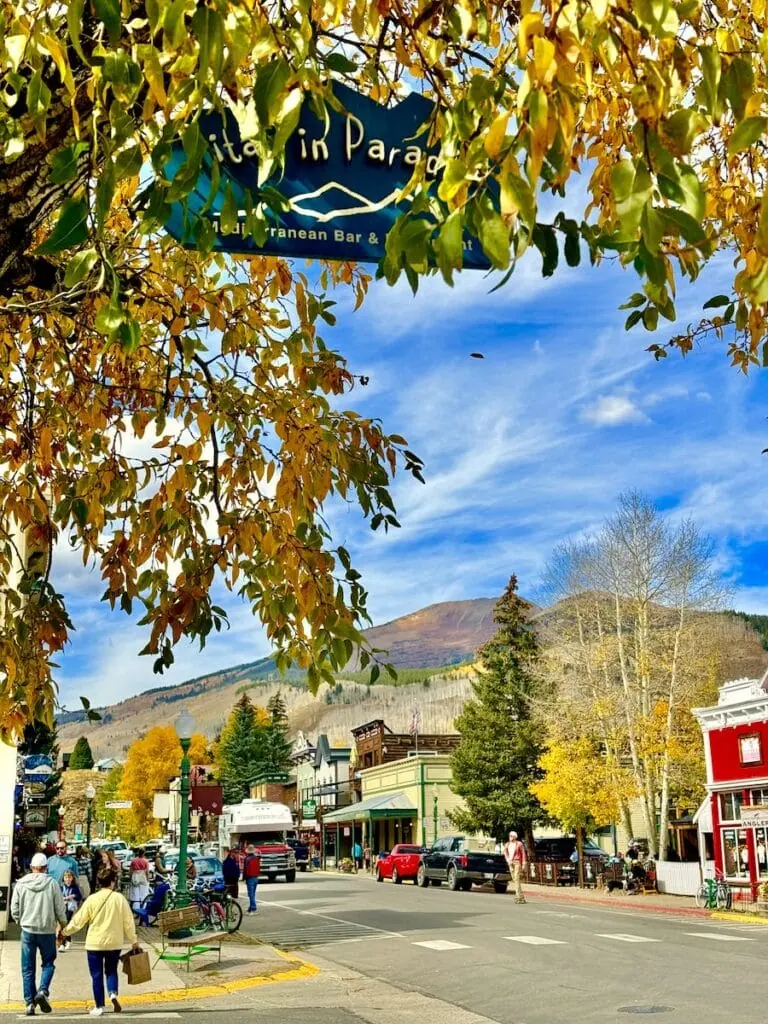 Elk Ave 10/12, 2024