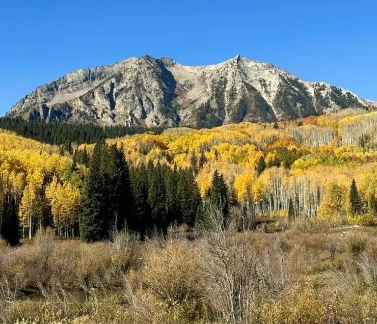 Kebler Pass 10/5, 2024