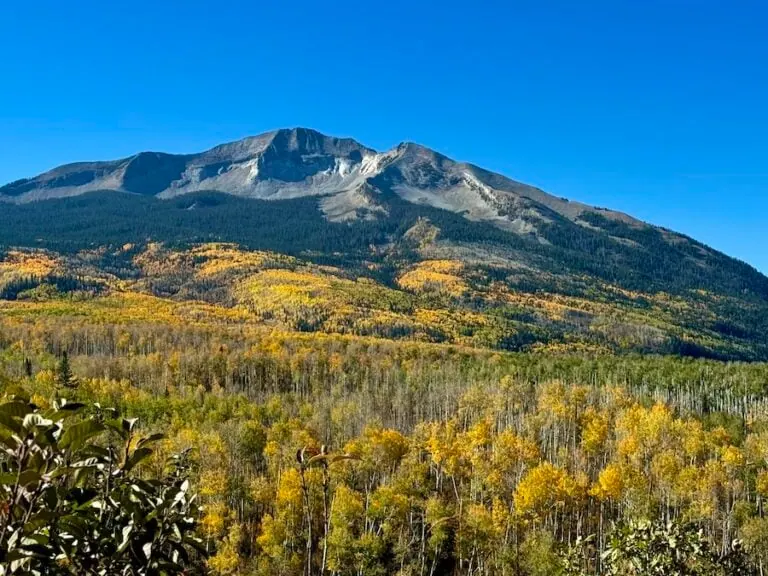 Far Side of Kebler 10/5, 2024