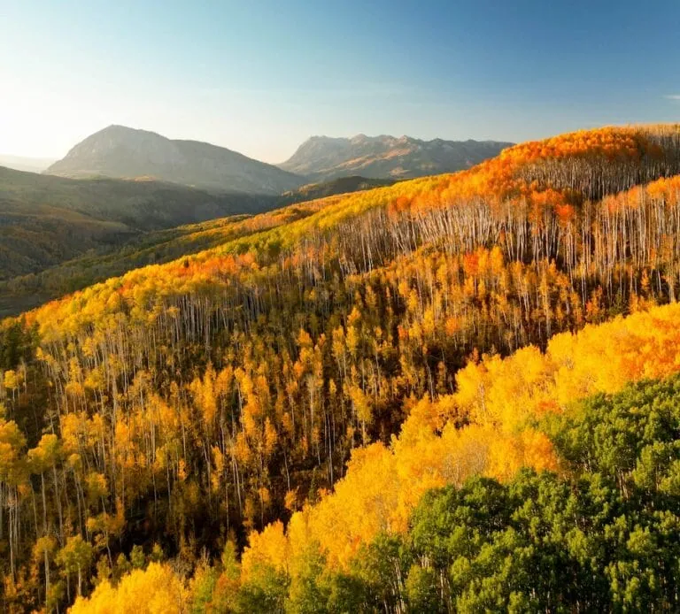 Kebler Pass 10/2, 2024