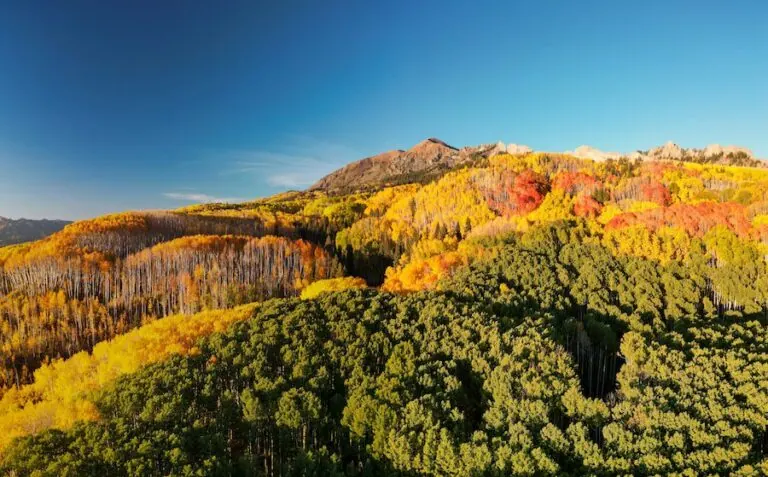 Kebler Pass 10/2, 2024