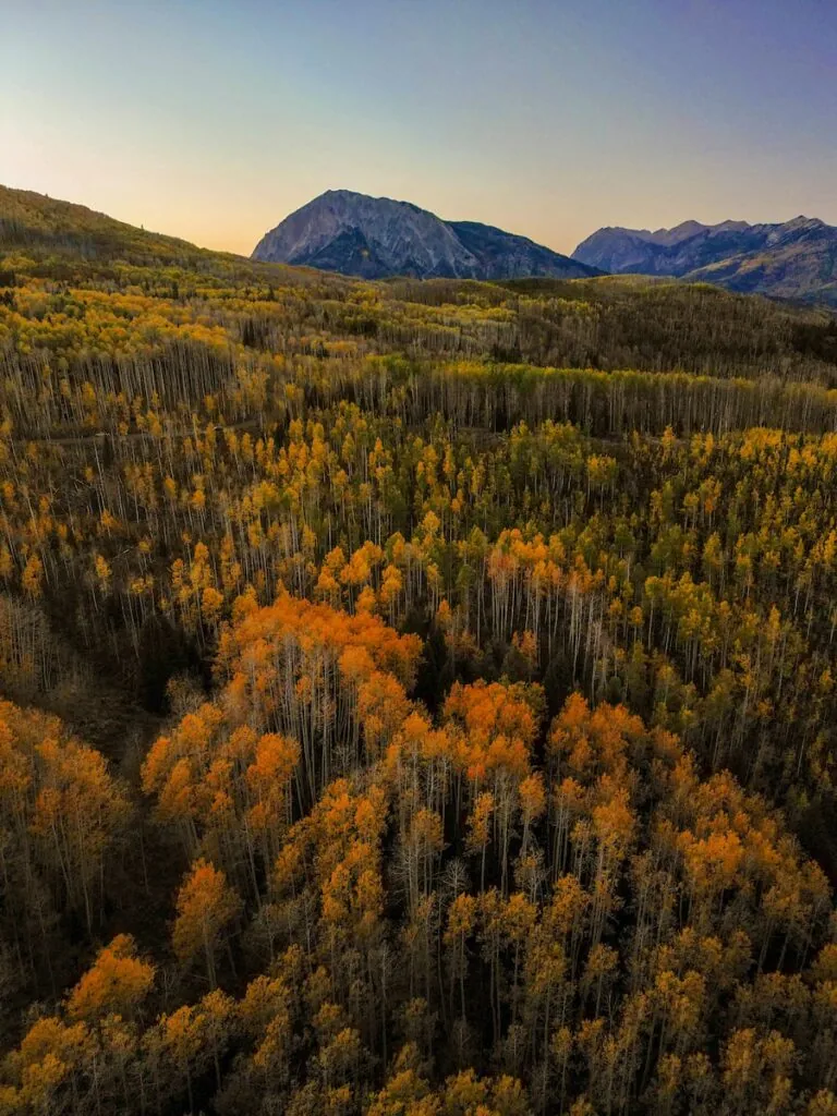 Kebler Pass 10/4, 2024