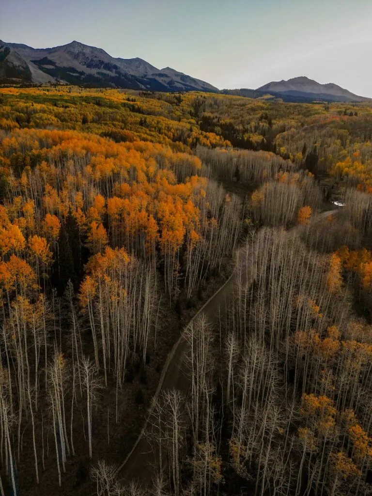 Kebler Pass 10/4, 2024
