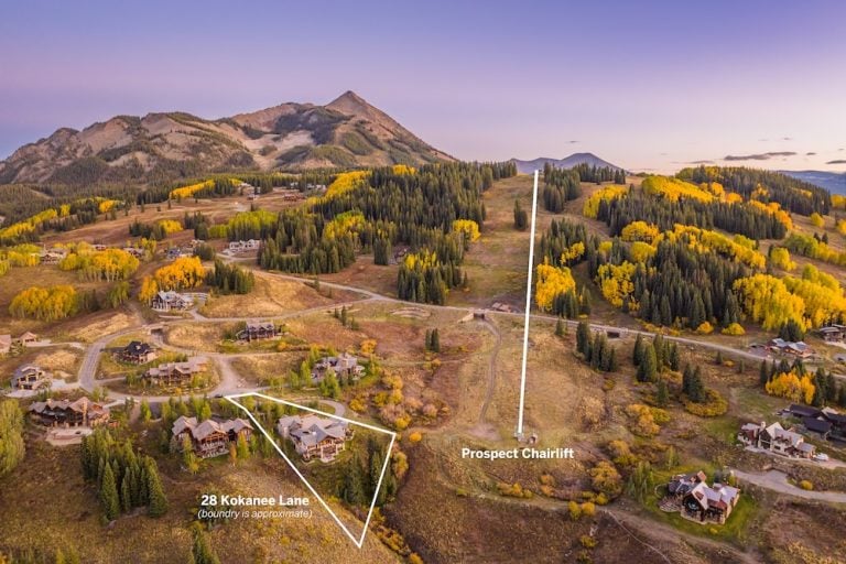 photo online 002 labels highres 1 768x512