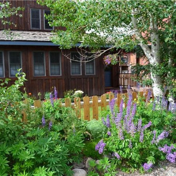 Alpine Property Mgmt