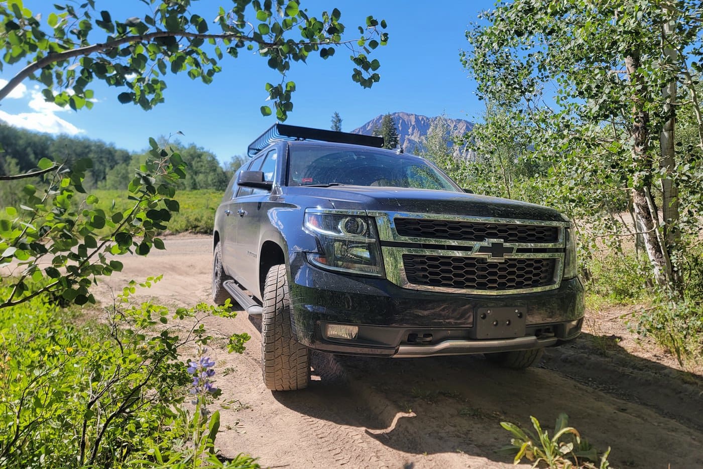 Black Canyon Limo