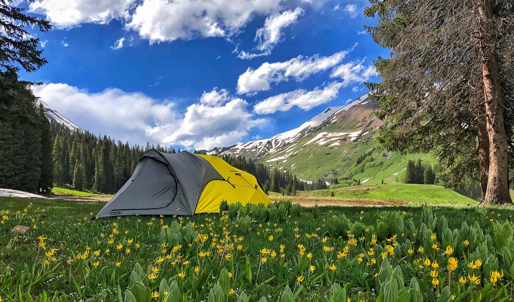 Crested Butte Camping: Campgrounds, Sites & Free Map