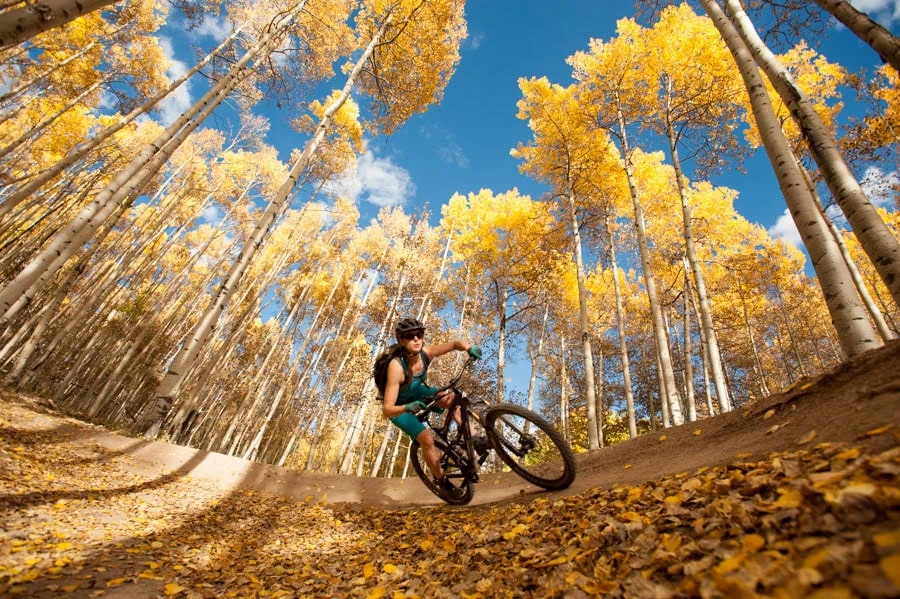 Mountain biking through fall color near Crested Butte
