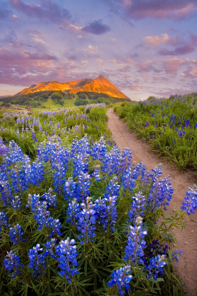Teddy's Trail Sunset