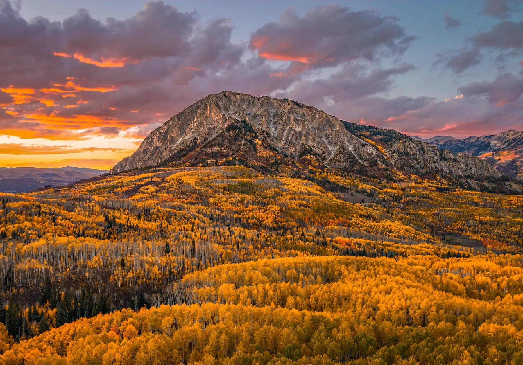 Marcellina Mountain above miles of gold aspen canopy on Kebler Pass at sunset
