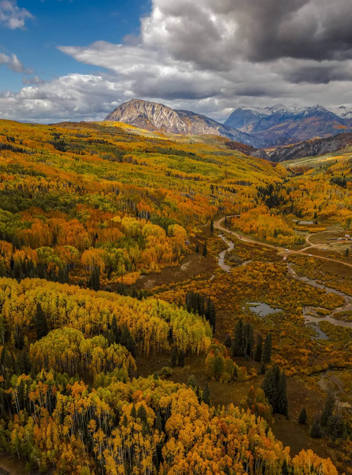 Gold aspens on Kebler Pass
