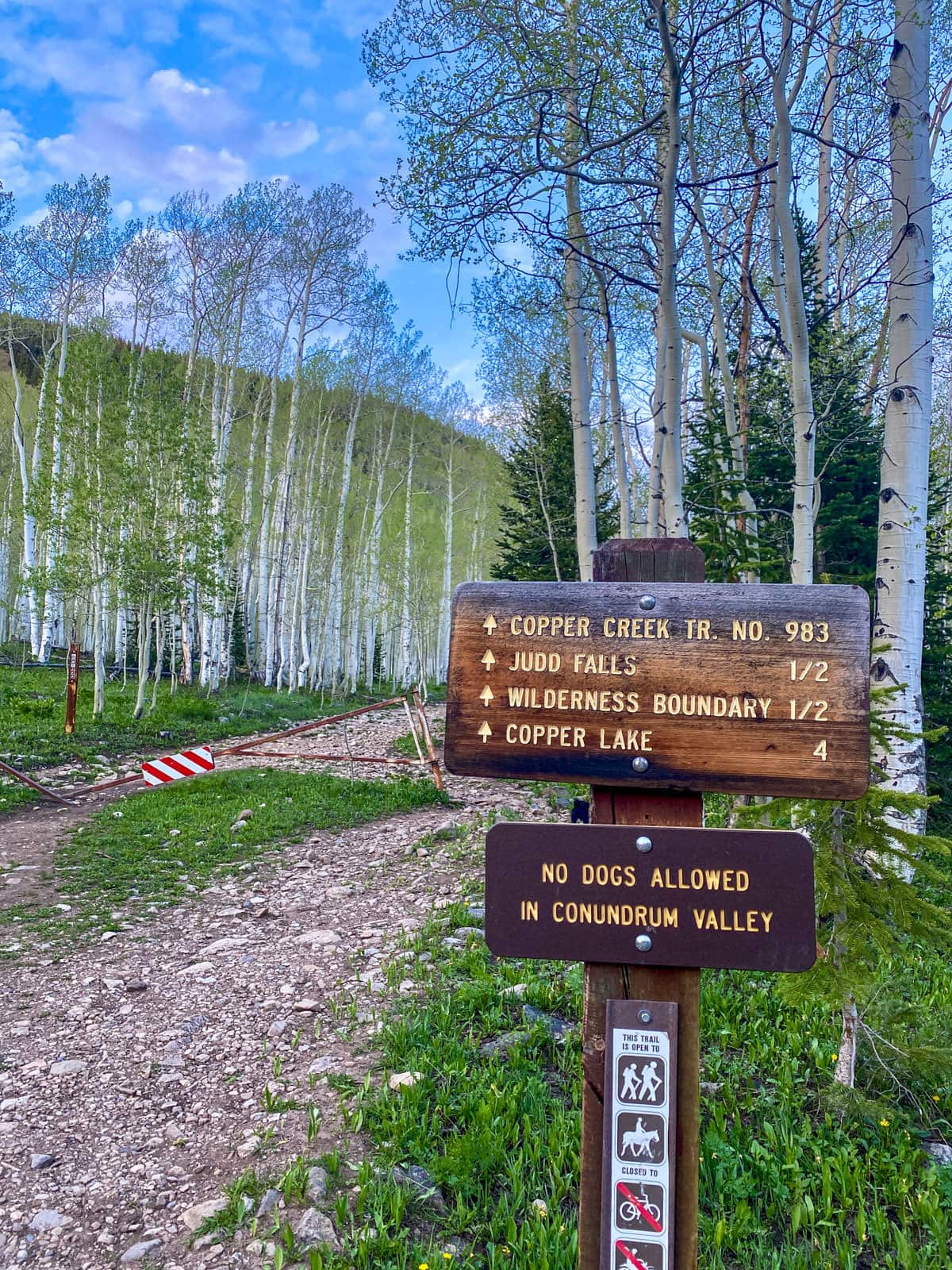 Junction sign: Judd Falls half a mile, Copper Lake four
