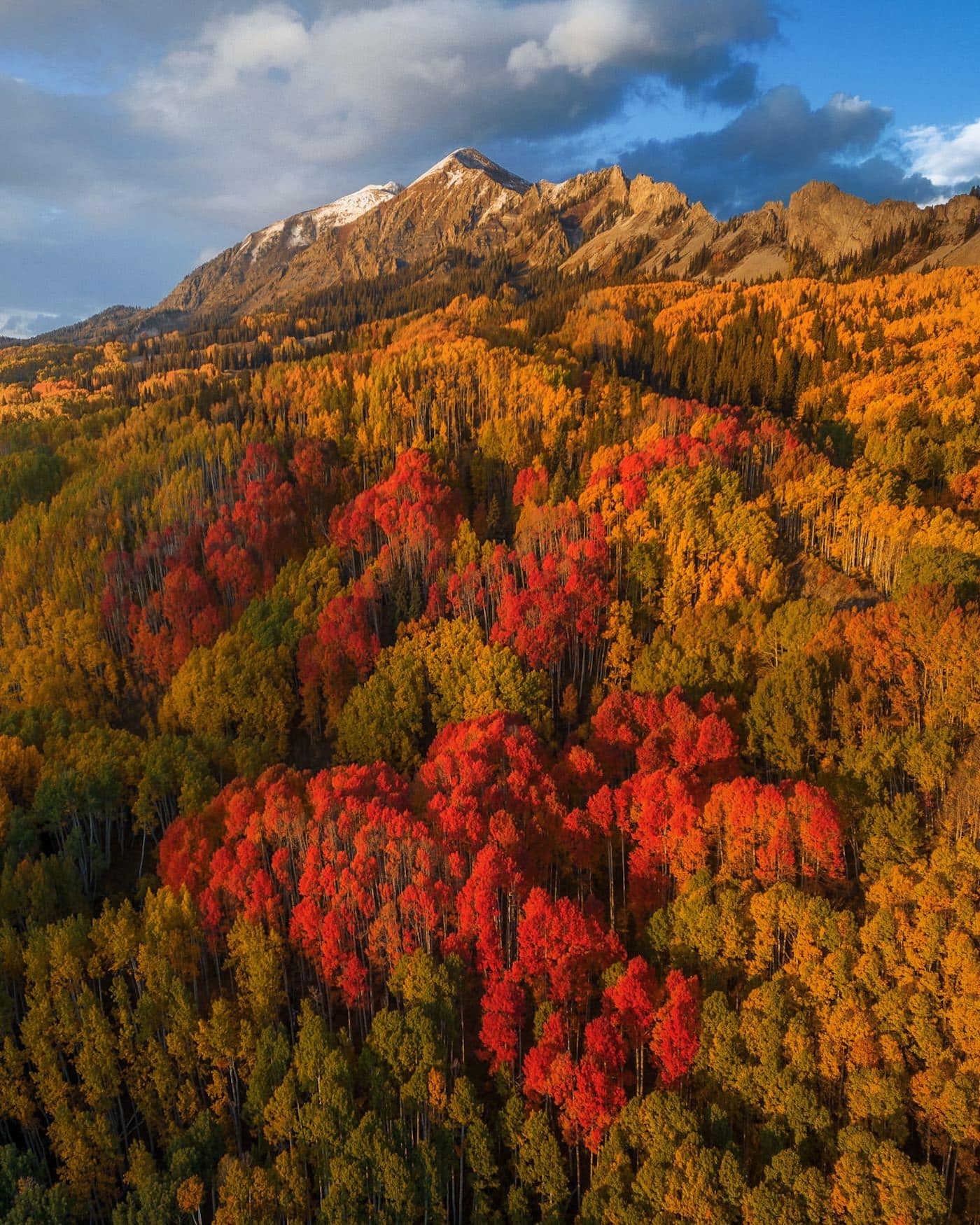 Kebler Pass aspens in fall color