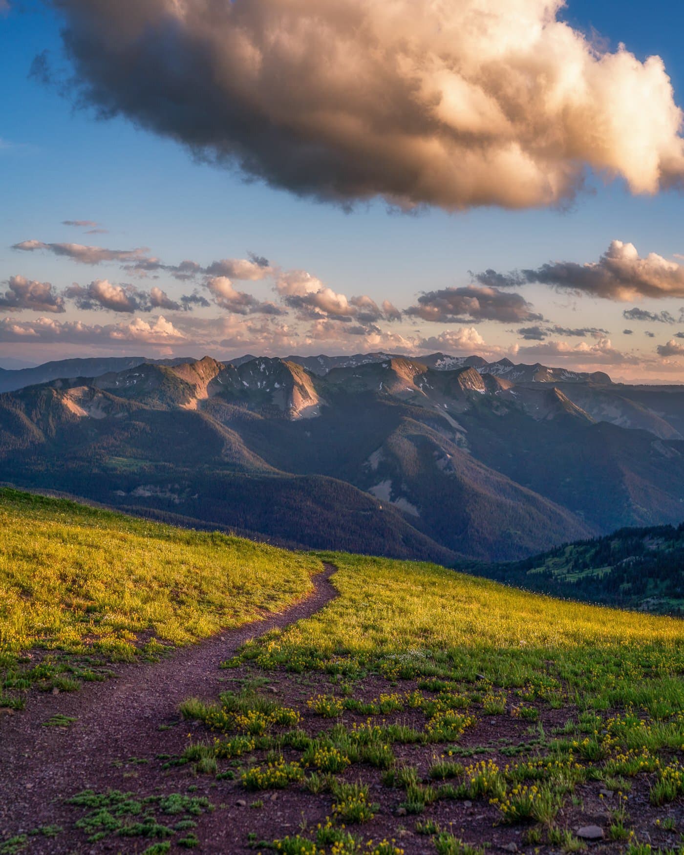 Single track through the flower slope