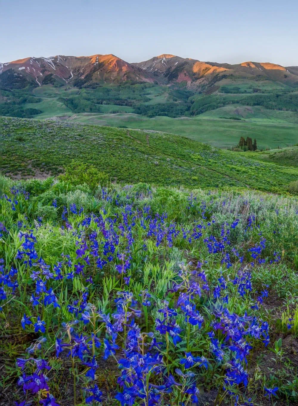 Snodgrass Mountain trail photo