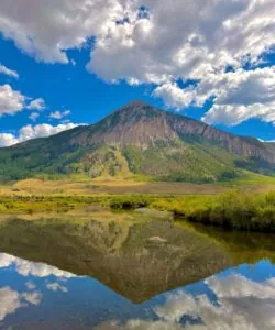 CB Refection
