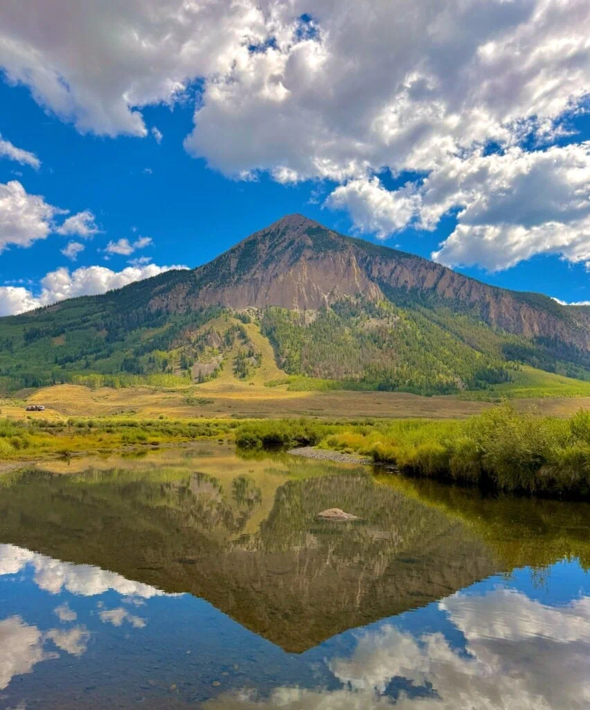 CB Refection
