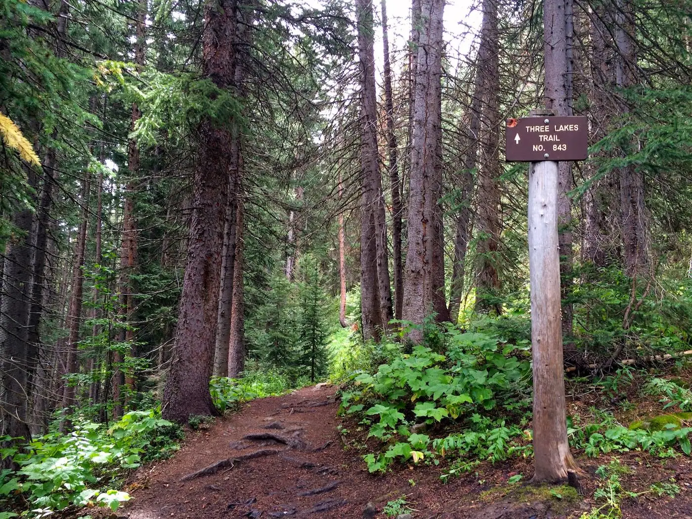 Three Lakes Loop via Lost Lake trail photo