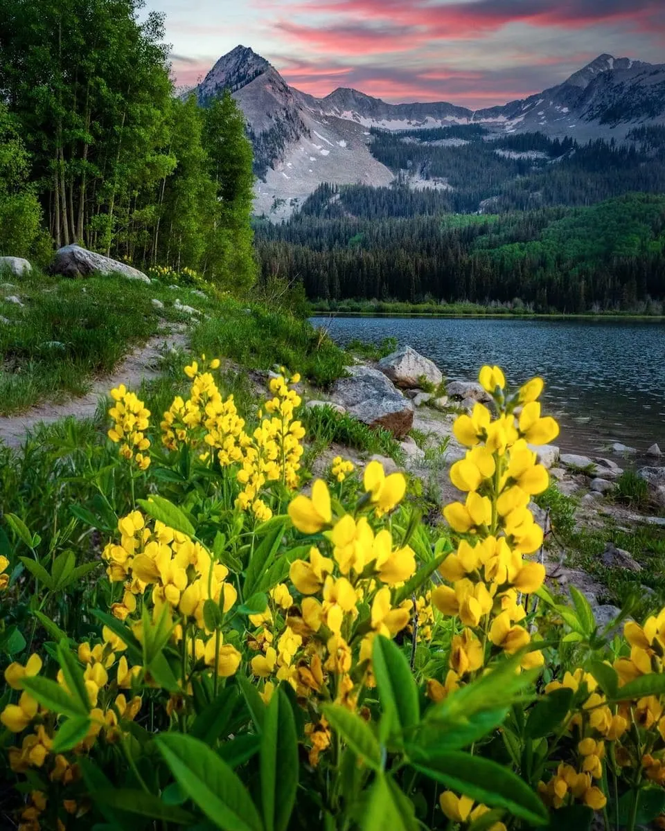 Three Lakes Loop via Lost Lake trail photo