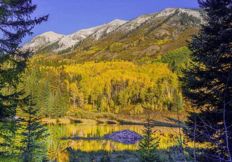 Beaver Ponds via Ohio Pass