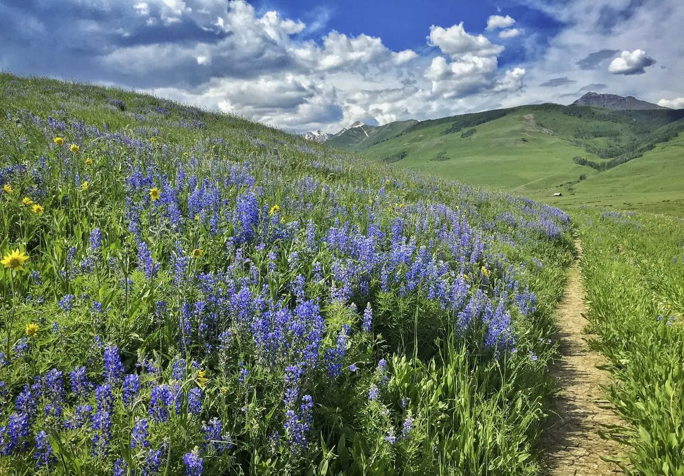 Brush Creek trail photo