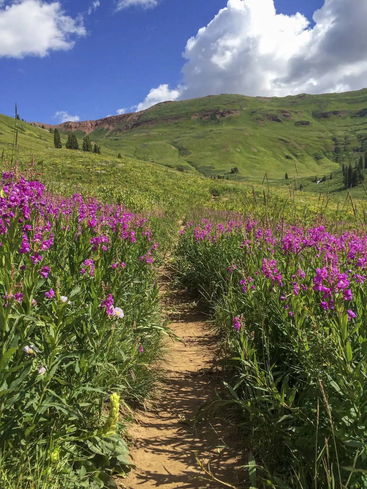 Crested Butte to Aspen (via West Maroon Pass) trail photo