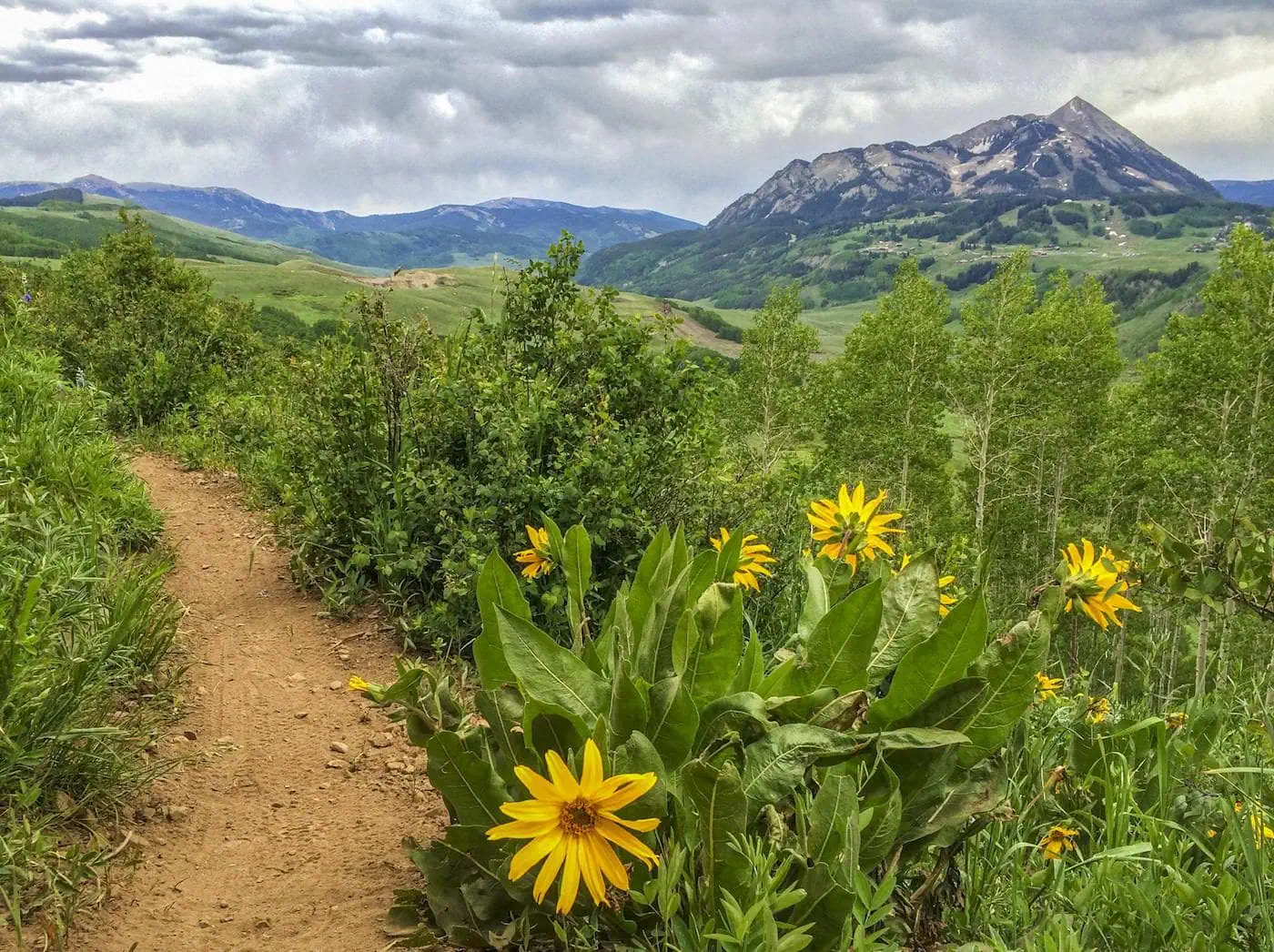 Deer Creek Trail via Gothic Valley trail photo
